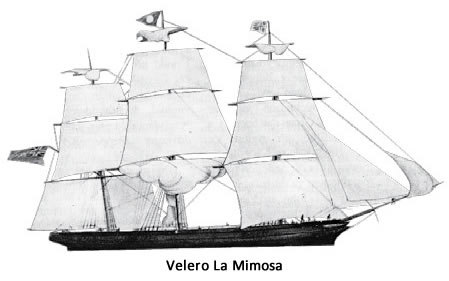 velero la Mimosa